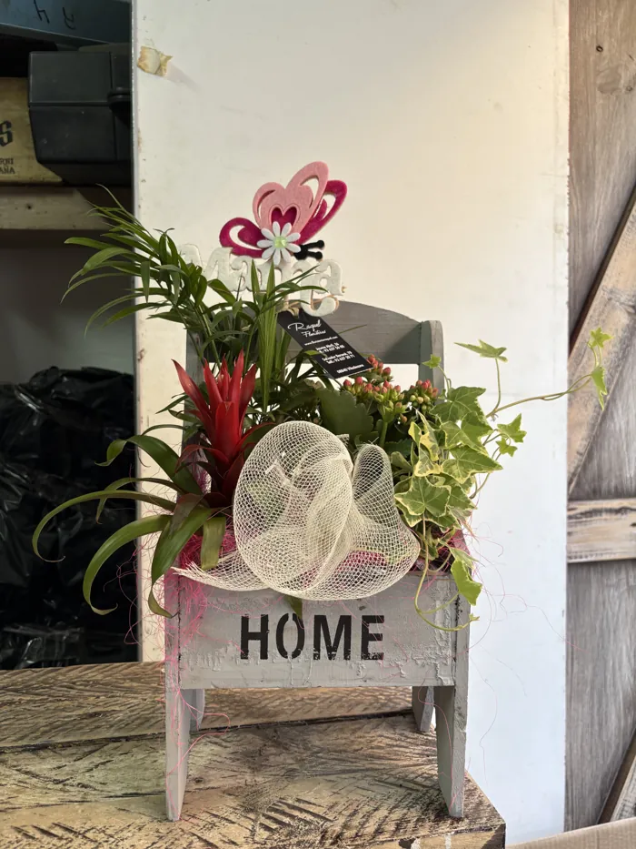 Silla decorativa «Home» con plantas y bromelia